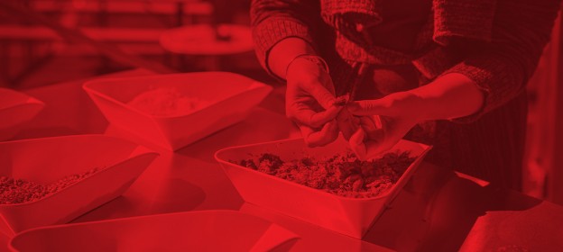 budweiser-brewery-tour